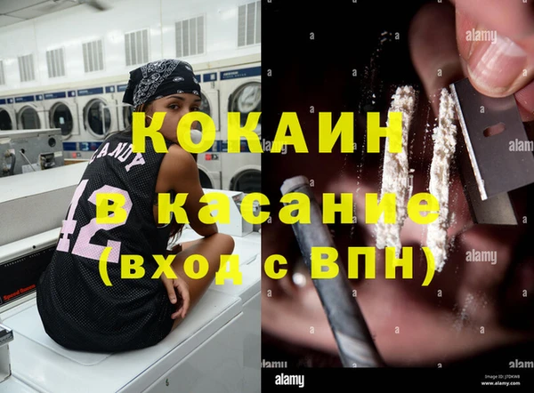 амф Алзамай