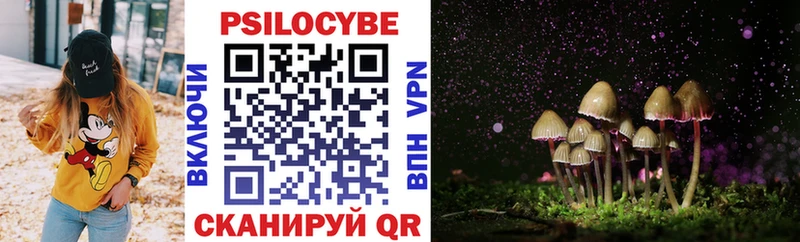 Псилоцибиновые грибы Cubensis  Кола 